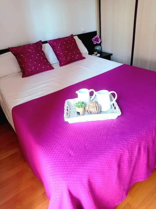 Acogedor Apartamento Con Piscina Y Garaje Apartment Huesca Luaran gambar